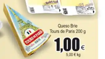 FROIZ Queso Brie Tours de Paris 200g oferta