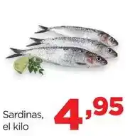 Congelados Copos Maria rosa - gamba pelada oferta