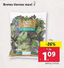 Lidl Brotes tiernos maxi oferta