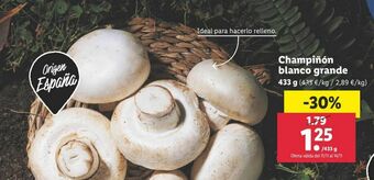 Lidl Champiñones oferta