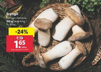 Lidl Setas oferta