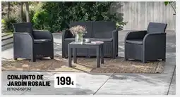 Brico Depôt CONJUNTO DE JARDÍN ROSALIE oferta
