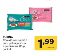 Dia Corona - cerveza oferta