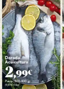 Gadis Dorada Acuicultura oferta
