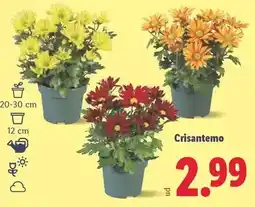 Beep Lenovo - ideapad slim 3 lnv4733 oferta