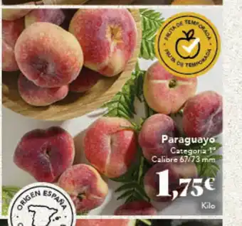 Gadis Paraguayo oferta