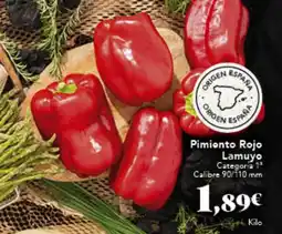 Gadis Pimiento Rojo Lamuyo oferta