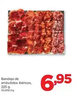 Kiwoko Wellness core - pienso perro oferta