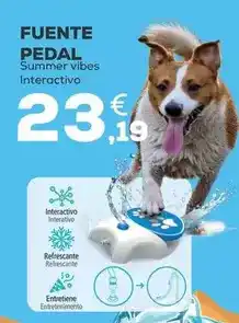 Sorli Nectarina extra d'arago oferta