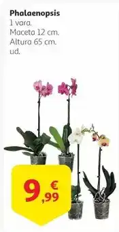 Adaptador con 3 enchufes + 3 usb