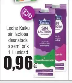 FROIZ Leche Kaiku sin lactosa desnatada oferta