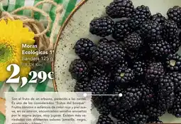 El Corte Inglés Elpozo - solomillo de pavo marinado oferta