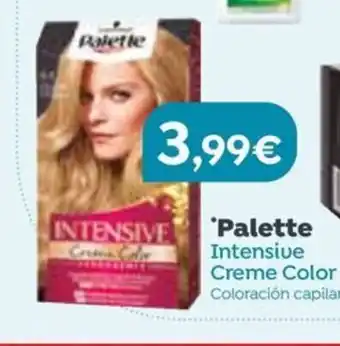 Masymas Palette Intensive Creme Color oferta