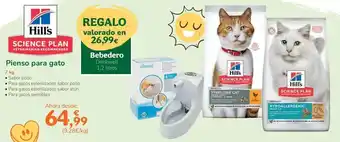 TiendAnimal Hill's - pienso para gato oferta