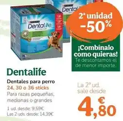 TiendAnimal Purina - dentales para perro oferta