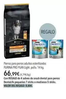 Alimerka Nectarina blanca oferta