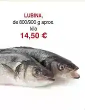 Worten Vivó - smartphone v40 lite oferta