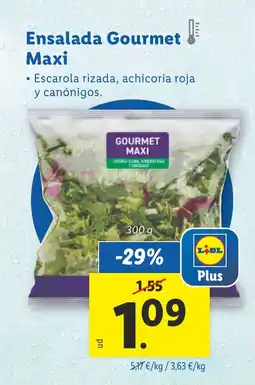 Lidl Ensalada Gourmet Maxi oferta