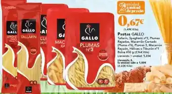 Gadis Gallo - pastas oferta