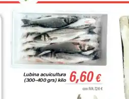 Cash Ifa Lubina acuicultura oferta