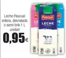FROIZ Pascual - leche entera oferta