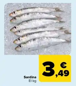 Carrefour Sardina oferta