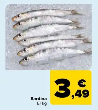 Carrefour Sardina oferta