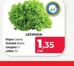 Spar Tenerife LECHUGA oferta