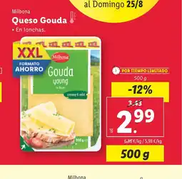 Lidl Queso Gouda oferta