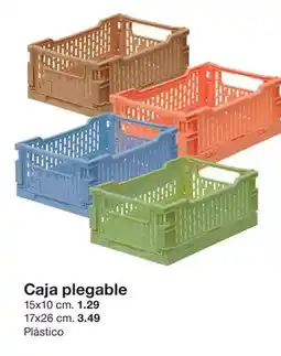 Zeeman Caja plegable oferta