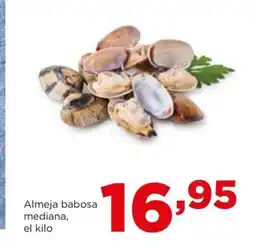 Alimerka Almeja babosa mediana, el kilo oferta