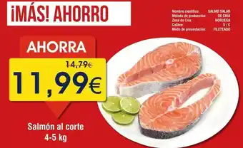 FROIZ Salmon al corte oferta