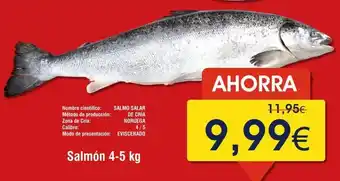 FROIZ Salmón oferta