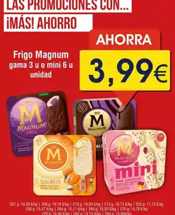 FROIZ Magnum - frigo oferta