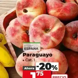 Dia Paraguayo oferta