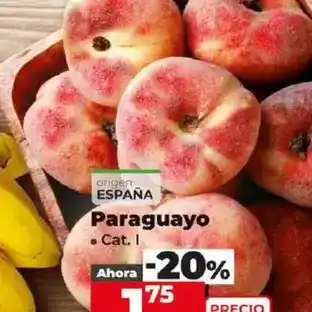 Dia Paraguayo oferta