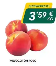 Dia San miguel - cerveza oferta