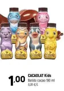 TOP Cash & Carry Skol - cerveza oferta