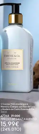 TOP Cash & Carry Colhogar - papel de cocina para todo oferta