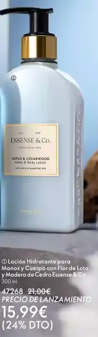 TOP Cash & Carry Colhogar - papel de cocina para todo oferta