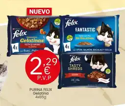 Dia Seleccion de dia - pechuga de pollo corte fino oferta