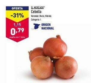 ALDI Cebollas oferta