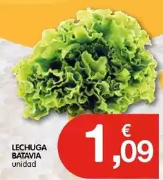 CashDiplo Lechuga batavia oferta