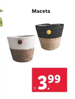 Lidl Maceta oferta