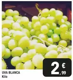 BricoCentro Estor roll-up soft oferta