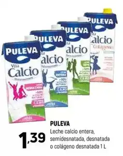 BricoCentro Baúl oferta