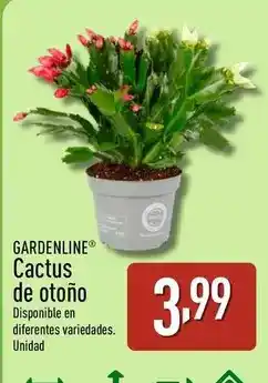 HiperDino Donuts - mini glace o mini bombón oferta