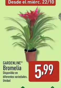 HiperDino Buitoni - piccolinis distintas variedades oferta