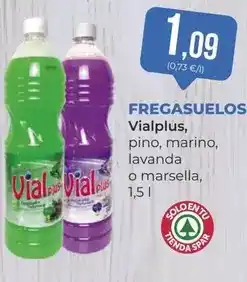 SPAR Gran Canaria Vialplus - fregasuelos oferta