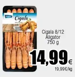 FROIZ Cigala 8/12 Aligator oferta